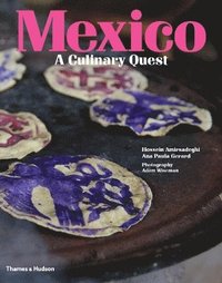bokomslag Mexico: A Culinary Quest