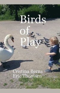 bokomslag Birds of Play