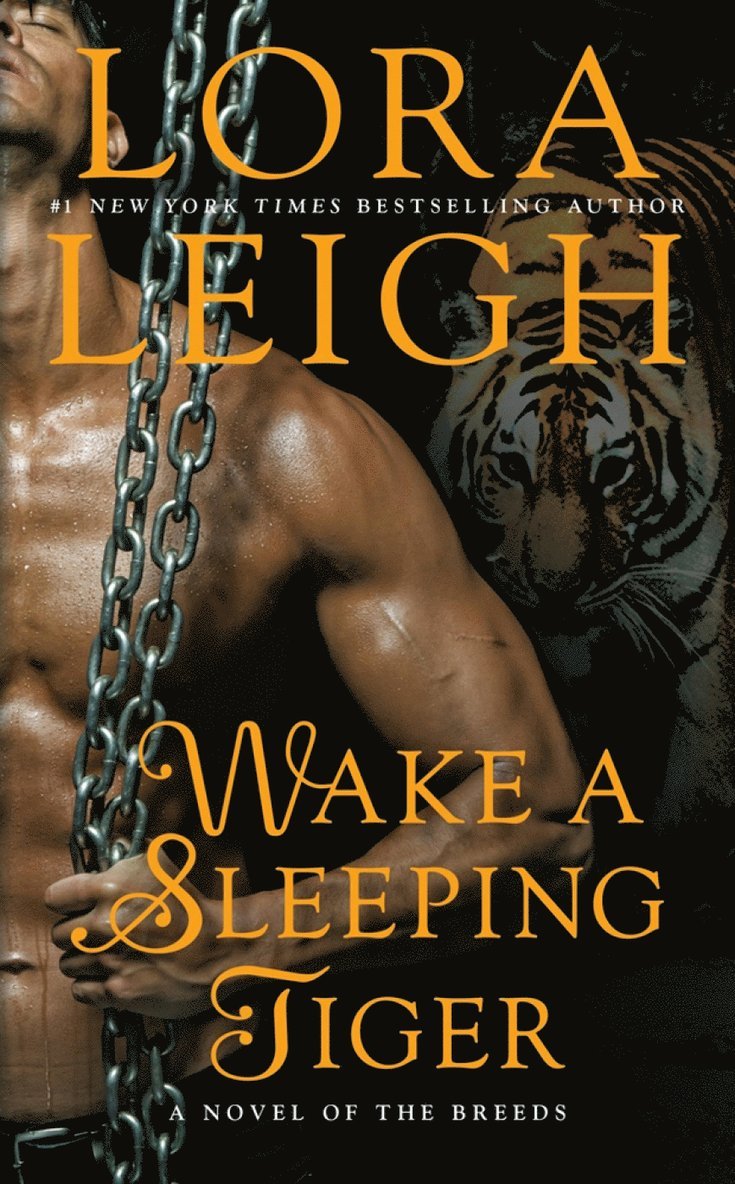 Lora Leigh - Wake a Sleeping Tiger, Häftad