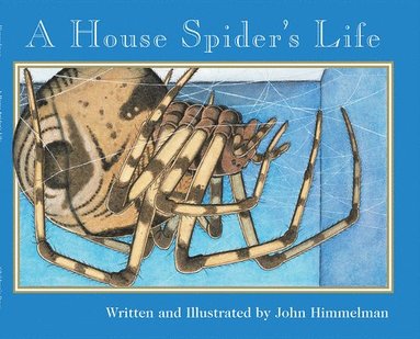 bokomslag House Spider's Life (Nature Upclose)