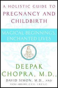 bokomslag Magical Beginnings, Enchanted Lives: A Holistic Guide to Pregnancy and Childbirth