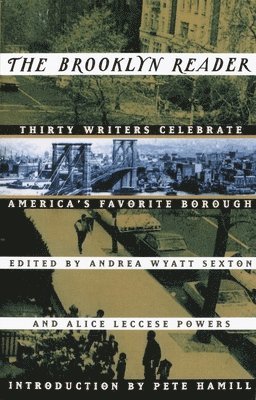 bokomslag Brooklyn Reader