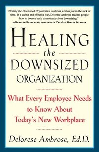 bokomslag Healing the Downsized Organisation