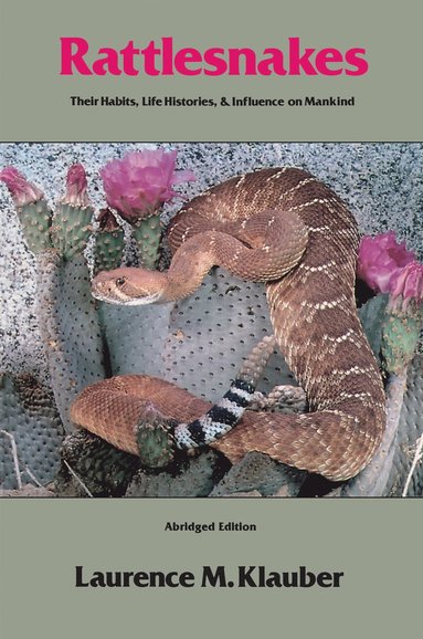 bokomslag Rattlesnakes