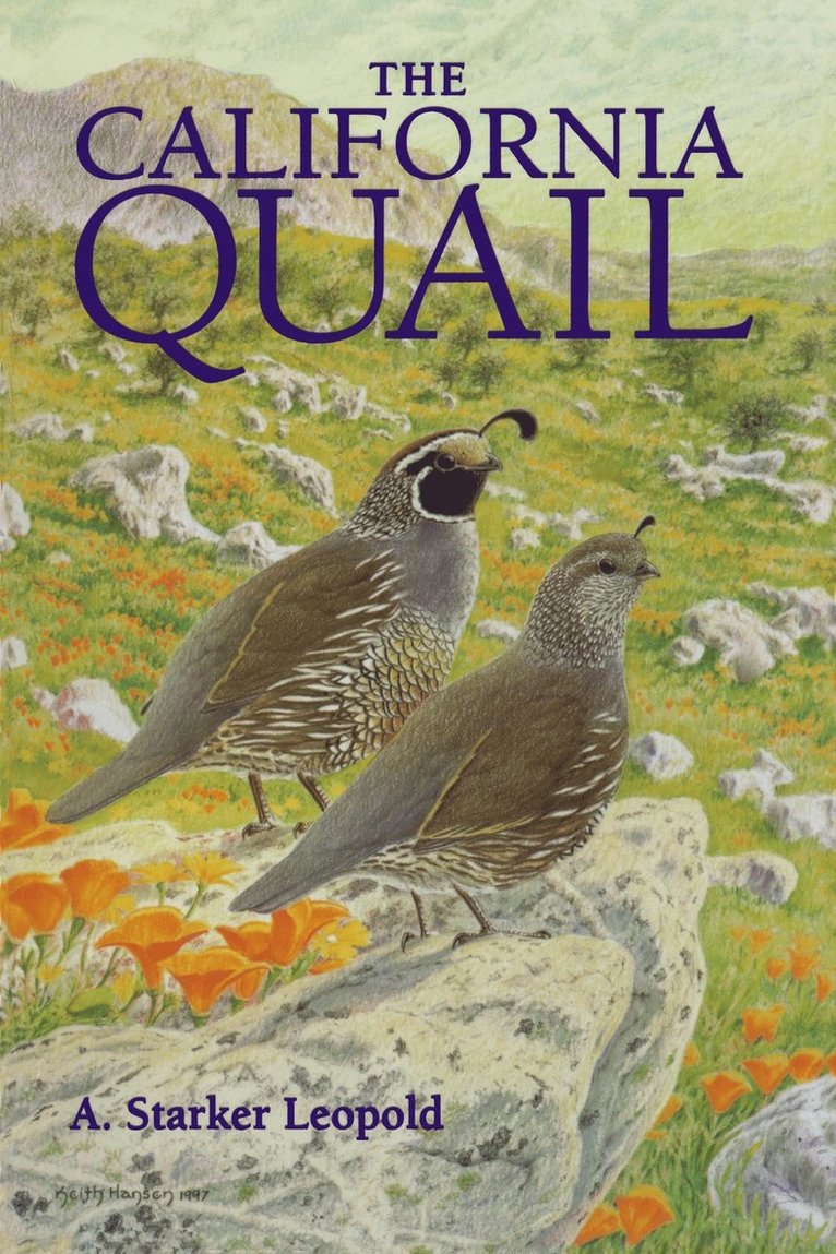 California Quail