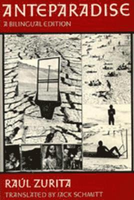 Raul Zurita - Anteparadise, A Bilingual edition, Häftad