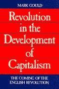 bokomslag Revolution in the Development of Capitalism: The Coming of the English Revolution