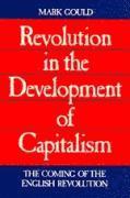 bokomslag Revolution in the Development of Capitalism