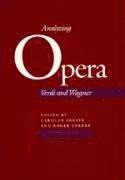 bokomslag Analyzing Opera: Verdi and Wagner