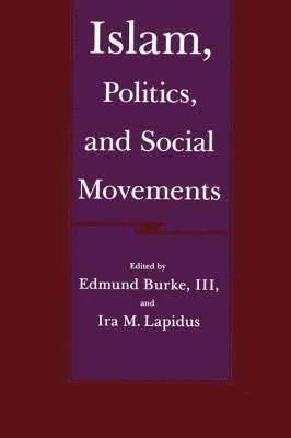bokomslag Islam, Politics and Social Movements