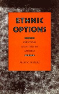bokomslag Ethnic Options