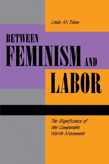 bokomslag Between Feminism and Labor