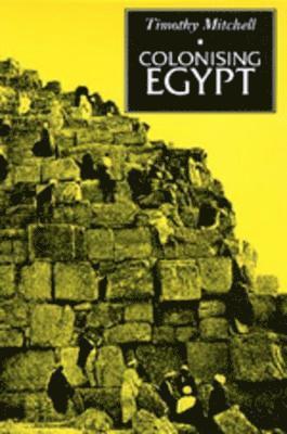bokomslag Colonising Egypt