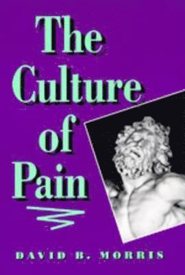 David B. Morris - Culture of Pain, Häftad
