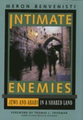 bokomslag Intimate Enemies