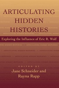 bokomslag Articulating Hidden Histories