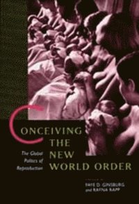 bokomslag Conceiving the New World Order
