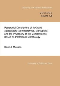 bokomslag Postcranial Descriptions of  Ilaria and  Ngapakaldia (Vombatiformes, Marsupialia) and the Phylogeny of the Vombatiforms Based on Postcranial Morphology