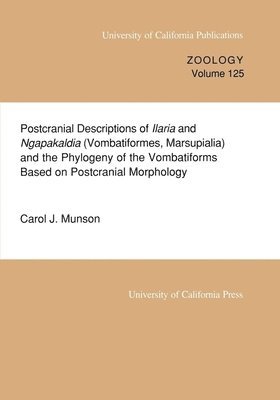 bokomslag Postcranial Descriptions of  Ilaria and  Ngapakaldia (Vombatiformes, Marsupialia) and the Phylogeny of the Vombatiforms Based on Postcranial Morphology