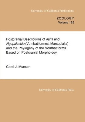 Postcranial Descriptions of  Ilaria and  Ngapakaldia (Vombatiformes, Marsupialia) and the Phylogeny of the Vombatiforms Based on Postcranial Morphology 1