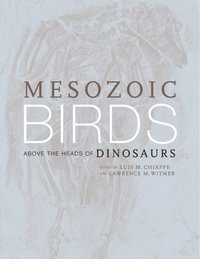 bokomslag Mesozoic Birds