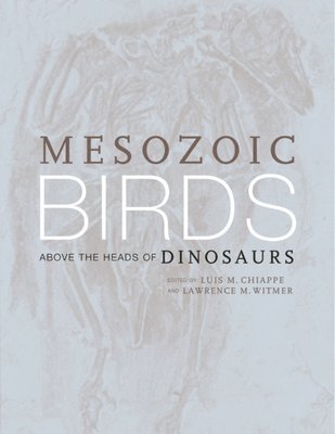 Luis M. Chiappe, Lawrence M. Witmer - Mesozoic Birds, Inbunden