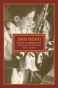 bokomslag Jewish Passages