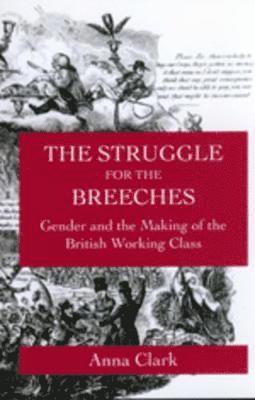 Anna Clark - Struggle for the Breeches, Häftad