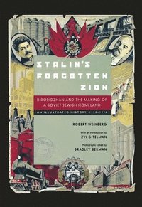 bokomslag Stalin's Forgotten Zion
