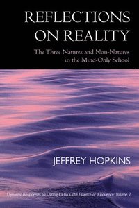 bokomslag Reflections on Reality