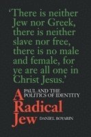 Daniel Boyarin - Radical Jew, Häftad