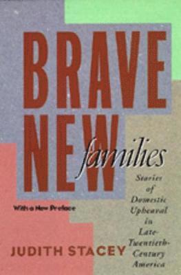 Judith Stacey - Brave New Families, Häftad