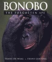bokomslag Bonobo