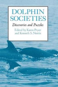 bokomslag Dolphin Societies