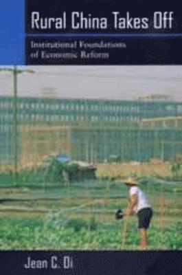 Jean C. Oi - Rural China Takes Off, Häftad