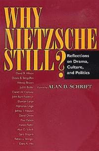 bokomslag Why Nietzsche Still?