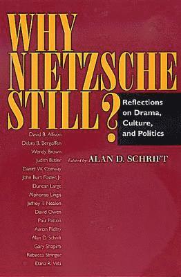 Alan D. Schrift - Why Nietzsche Still?, Häftad