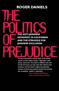 bokomslag The Politics of Prejudice