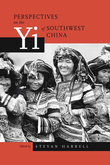 bokomslag Perspectives on the Yi of Southwest China