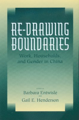 Barbara Entwisle, Gail E. Henderson - Re-Drawing Boundaries, Häftad