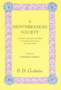 bokomslag A Mediterranean Society, Volume VI
