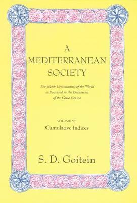bokomslag Mediterranean Society, Volume VI