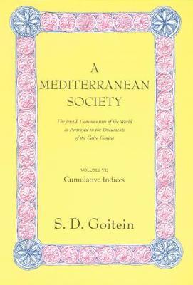 A Mediterranean Society, Volume VI 1