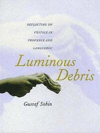 bokomslag Luminous Debris