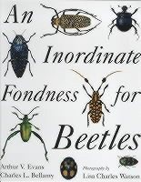 bokomslag An Inordinate Fondness for Beetles