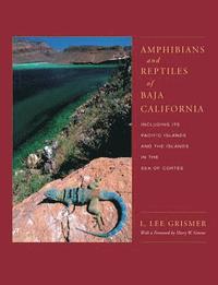 bokomslag Amphibians and Reptiles of Baja California, Including Its Pacific Islands and the Islands in the Sea of Cortes