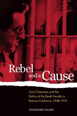 Theodore Hamm - Rebel and a Cause, Häftad