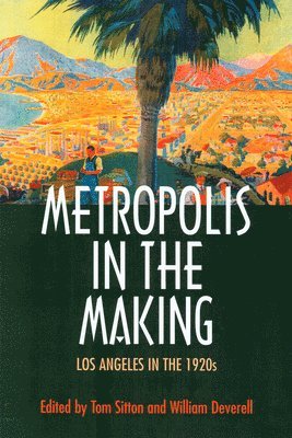 Metropolis in the Making 1