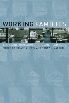 bokomslag Working Families