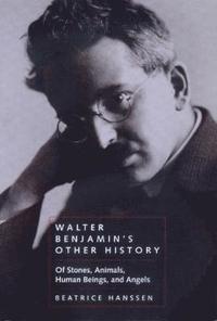 bokomslag Walter Benjamin's Other History